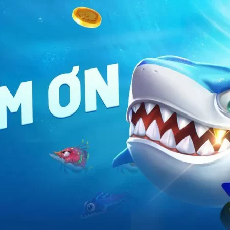 Game Vui Bắn Cá Có Nhiều Khuyến Mãi Nhất Tại Nhà Cái Uy Tín Online