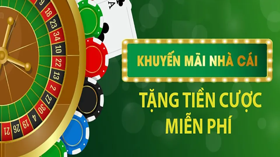 Hướng Dẫn Sử Dụng Khuyến Mãi
