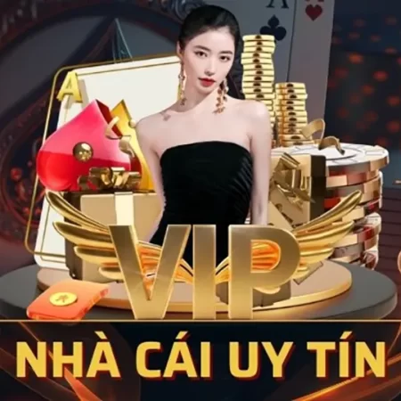 Nhà cái VIP 2025: Khuyến Mãi Hấp Dẫn và Dịch Vụ Tận Tâm