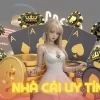 Yếu Tố Chọn Nhà Cái Uy Tín: Hướng Dẫn Đầy Đủ Nhất Cho Người Mới & Ưu Đãi 100K