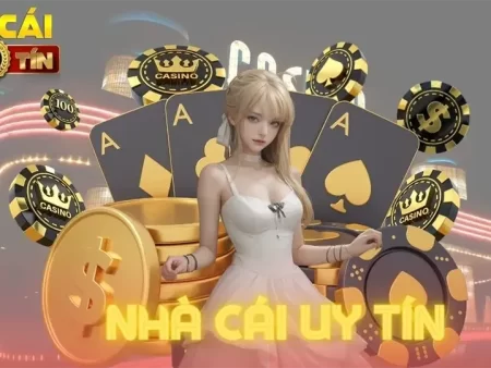 Yếu Tố Chọn Nhà Cái Uy Tín: Hướng Dẫn Đầy Đủ Nhất Cho Người Mới & Ưu Đãi 100K