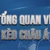 Bonus Kèo Châu Á: Hướng Dẫn Bắt Kèo Hiệu Quả & Cơ Hội Thắng Lớn Tháng Này!
