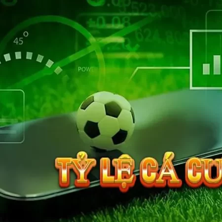 Chiến Lược Cá Cược Thể Thao Hiệu Quả 2025 – Bí Quyết Nâng Cao Cơ Hội Thắng Lớn