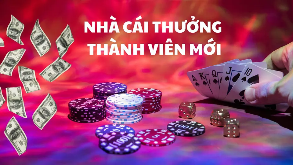 Top Nhà Cái Khuyến Mãi