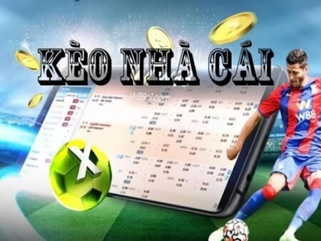 Cách Xem Kèo Nhà Cái Chi Tiết và Hiệu Quả Cho Người Mới